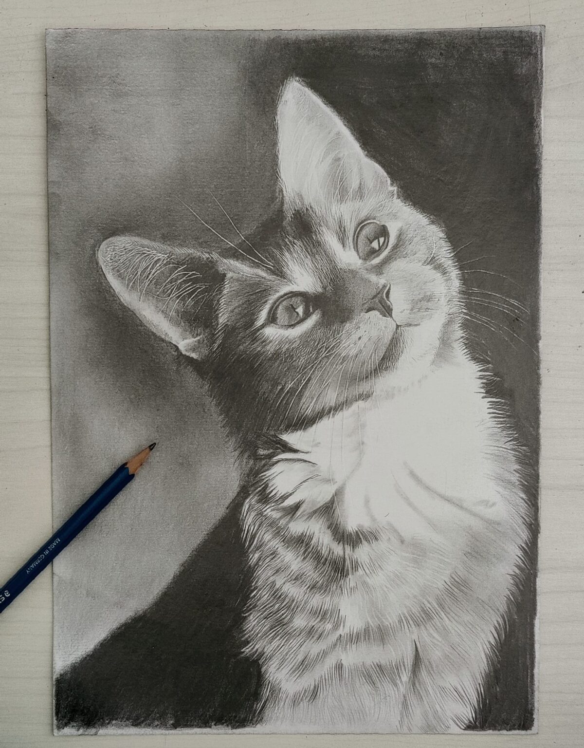 316957767_3396485824005425_198552146711945737_n