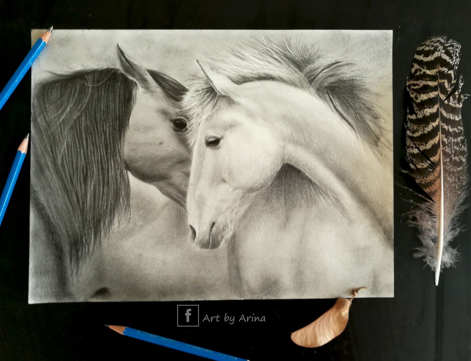 44155122_2157915844529102_4751894697524330496_n